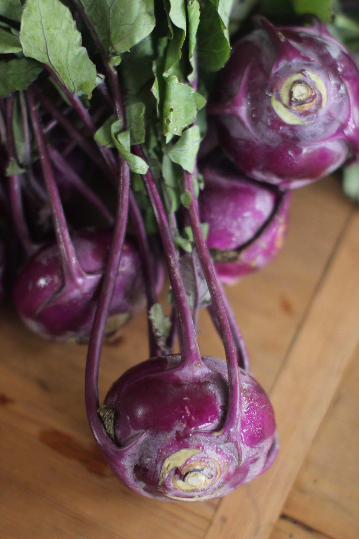 This July 20, 2015 photo shows kohlrabi in Concord, N.H. Kohlrabi is a member of the brassica family, and its relatives include broccoli, cauliflower, turnips and kale. Both its bulb and its leaves are edible, it is tasty raw or cooked, and it plays nicely with many other ingredients.