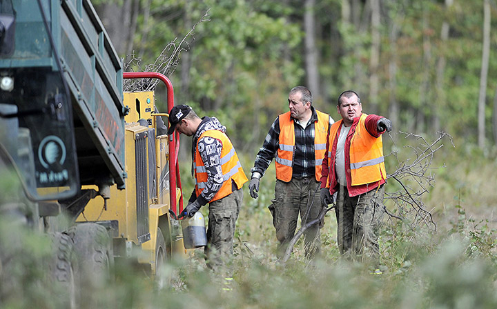 Workers are clearing shrubs and trees from the alleged site of a hidden World War Ii Nazi tunnel that, according to two explorers, might contain an armored train with precious minerals in Walbrzych, Poland, Tuesday, Sept. 15, 2015. 