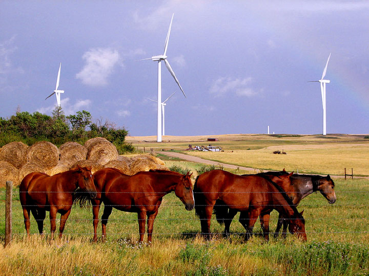 Graham Construction has worked on such projects in the province as the Centennial Wind Power Facility near Swift Current.