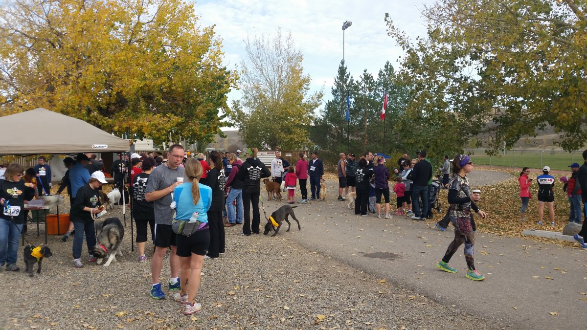 The ninth annual Bare Bones Run took place on Sunday, October 18, 2015 with registration fees going straight to the Lethbridge and District Humane Society. Erik Mikkelsen has the story. 