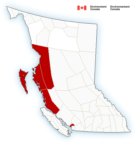 Rain and wind warnings issued as 3rd storm approaches B.C. coast - BC ...