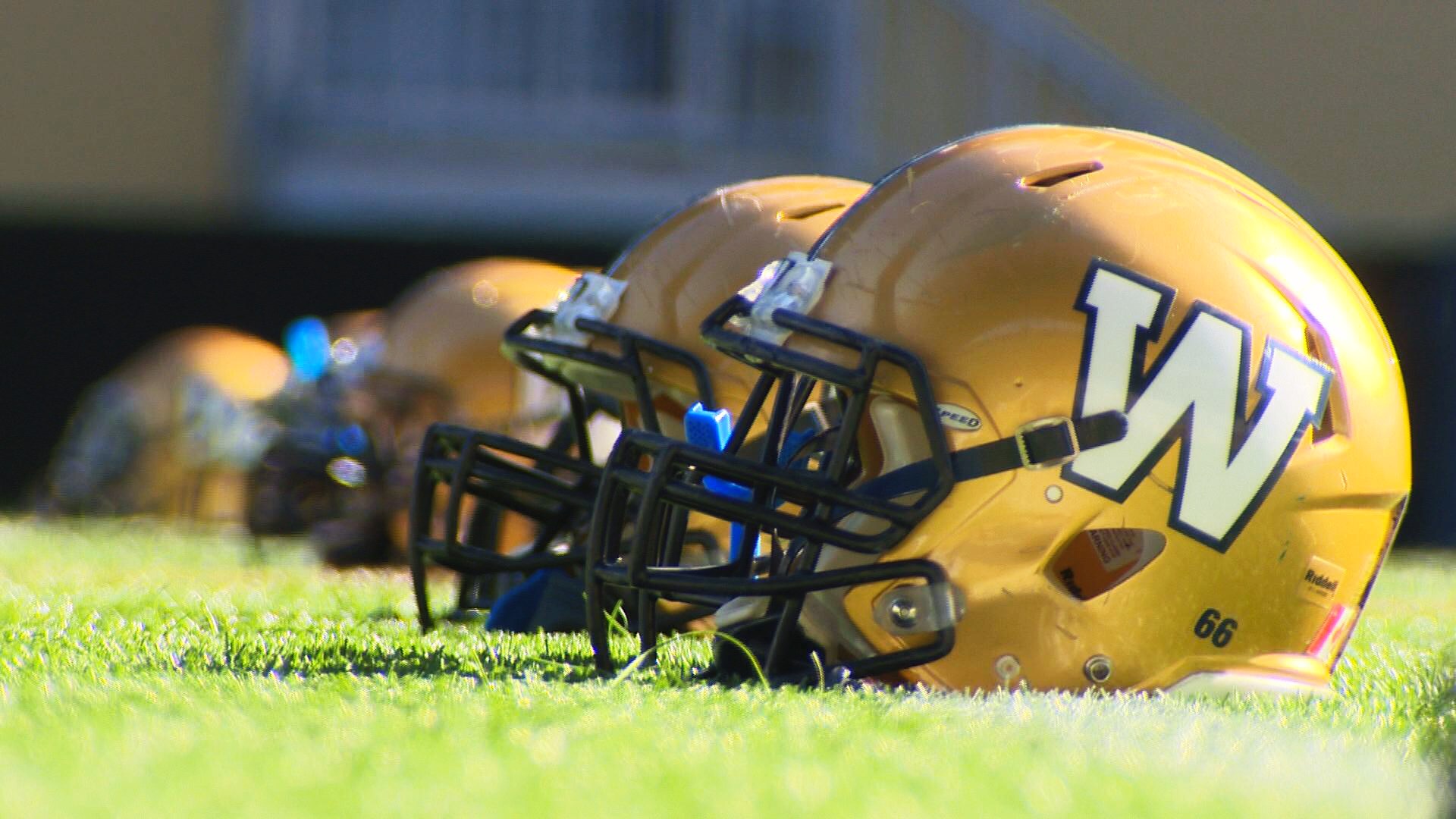 Winnipeg Blue Bomber Fans Cheer On Their Team From Around The Globe ...