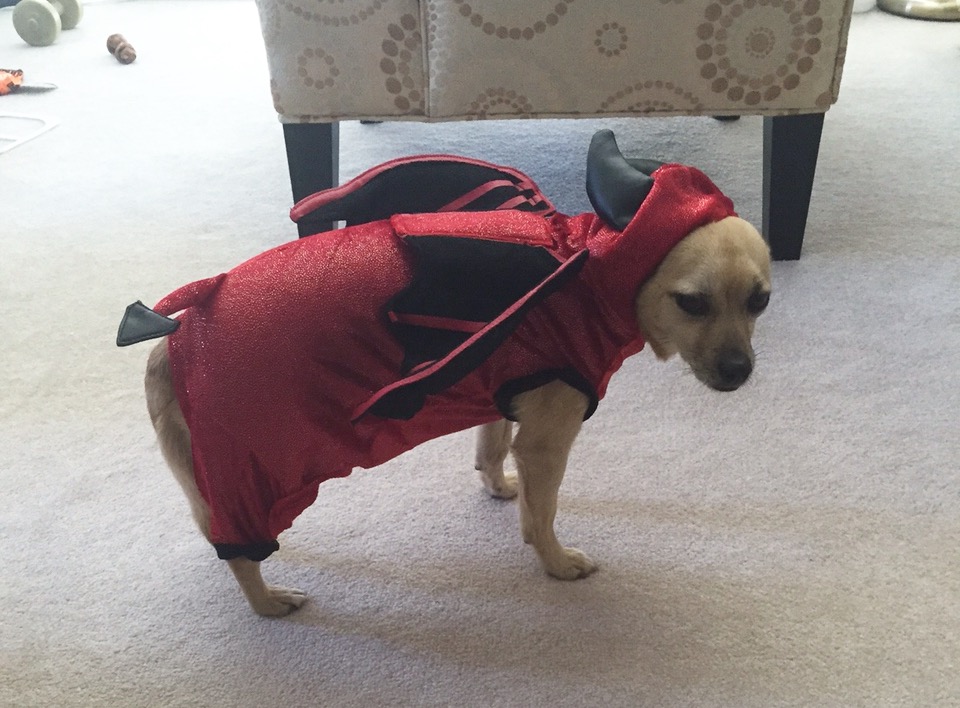 Here’s Buffy again. This time dressed as a devil.