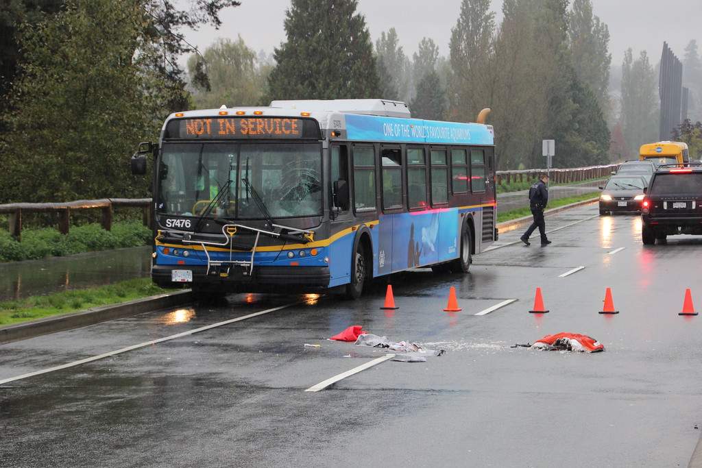 Pedestrian in hospital after getting struck by bus in Surrey - BC ...