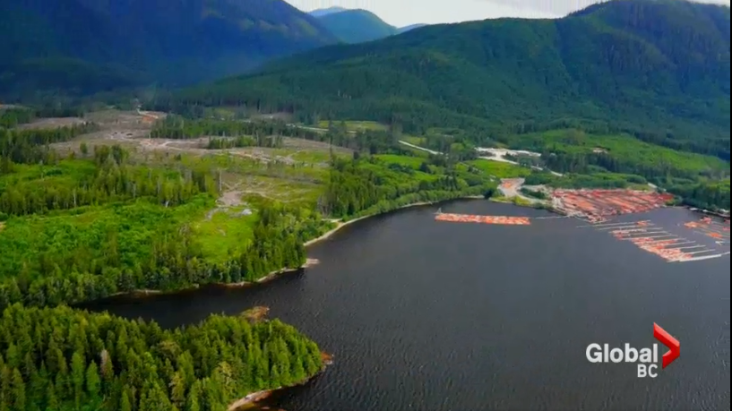 First Nation on Vancouver Island expects large cash offer for LNG - image