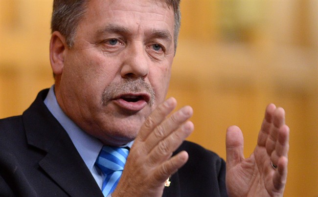 Former NDP MP Peter Stoffer asks a question during question period in the House of Commons on Parliament Hill in Ottawa on Tuesday, November 18, 2014. 