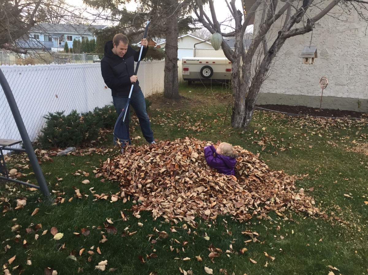 Nathan VanDriel rakes leaves with his 16 month old daughter, Lindon.
