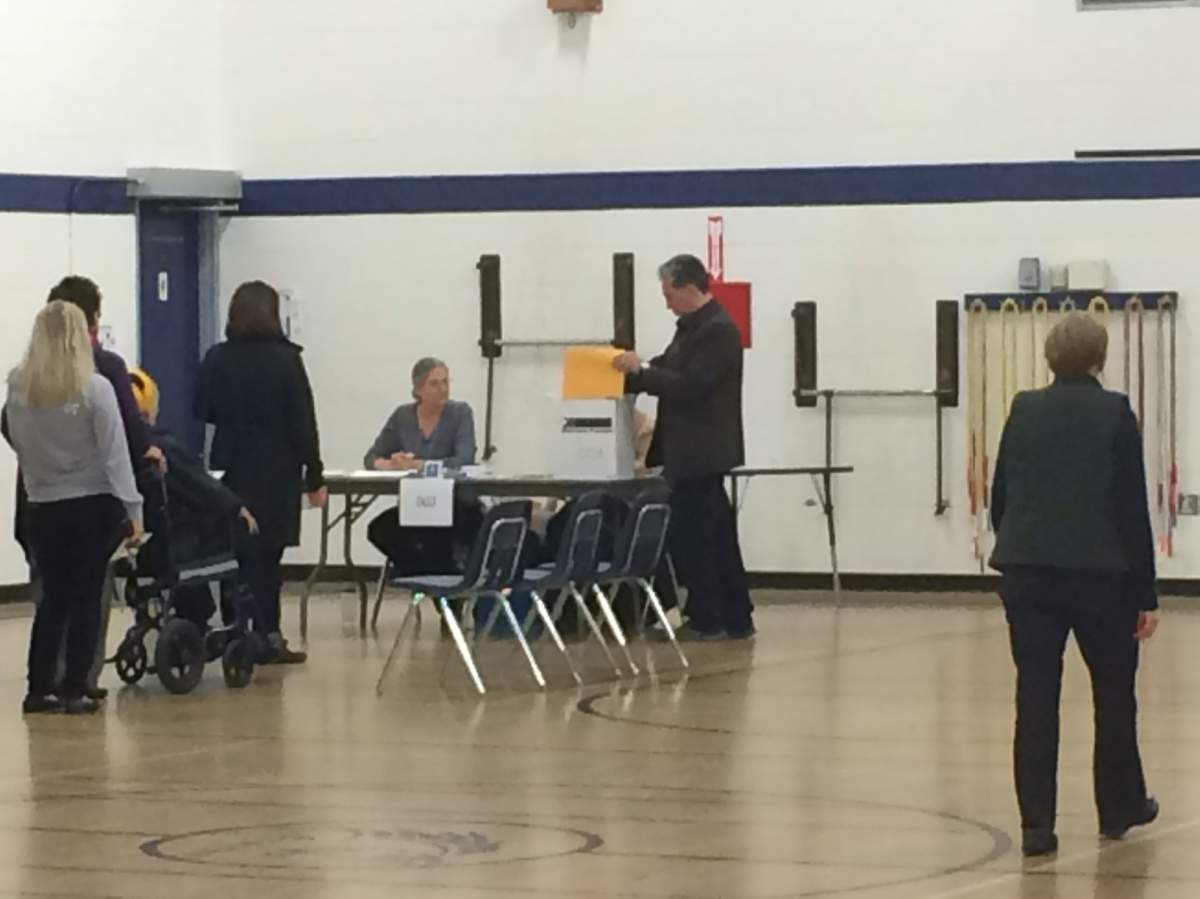 Dan Vandal voting