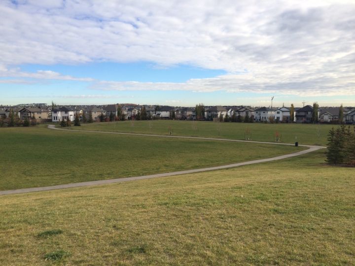 Const. Daniel Woodall Park is being developed at 7304 South Terwillegar Drive.