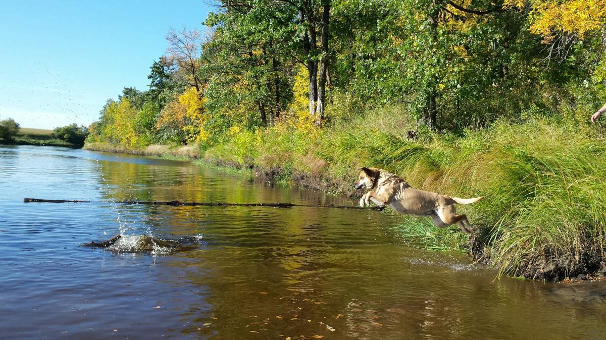 Fall picture