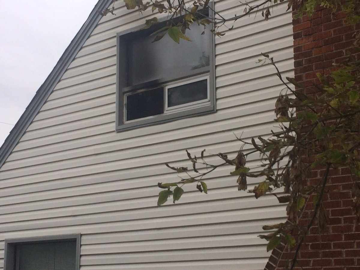 Two cats were killed in an early morning house fire Sunday.