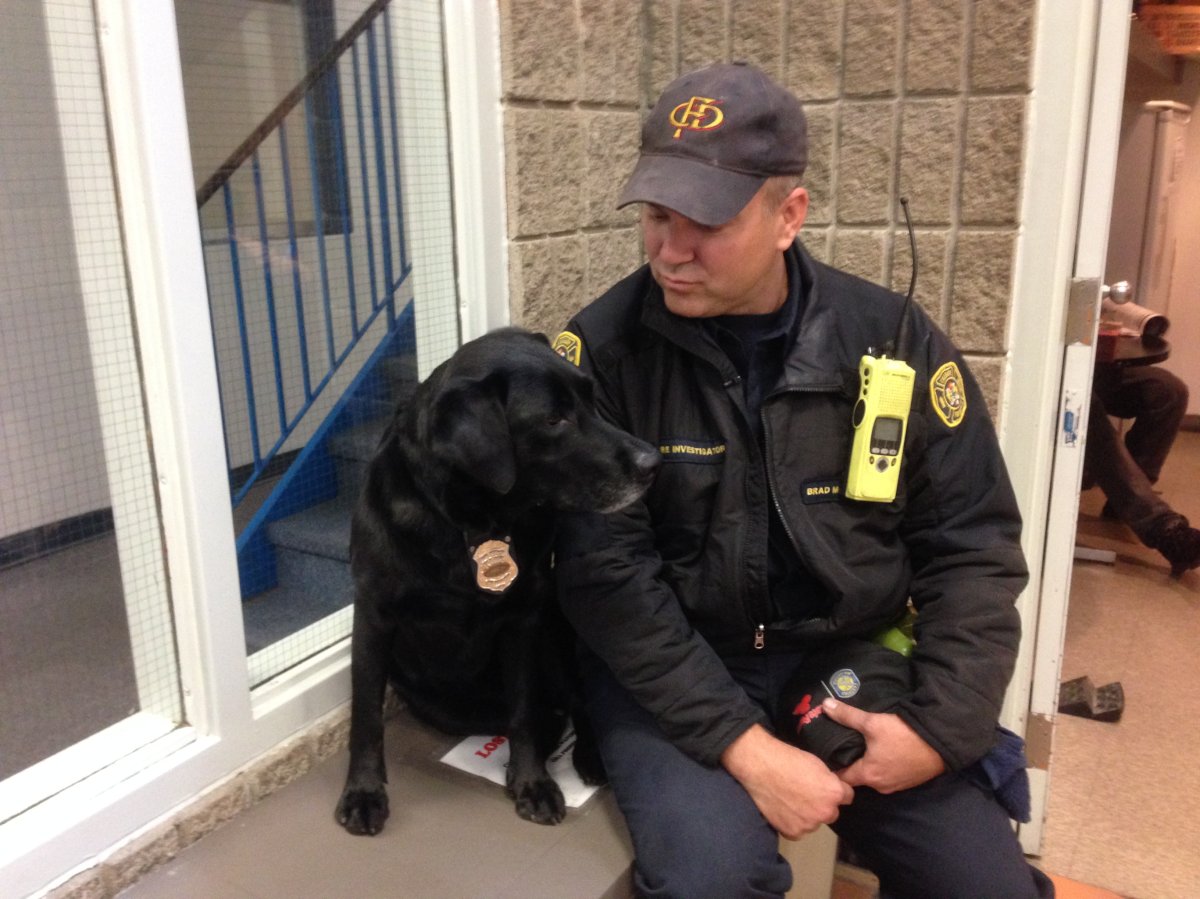 Fire investigators, Honey and her handler Brad Mcdonald visit residents in Acadia Sunday as part of Fire Prevention Week.