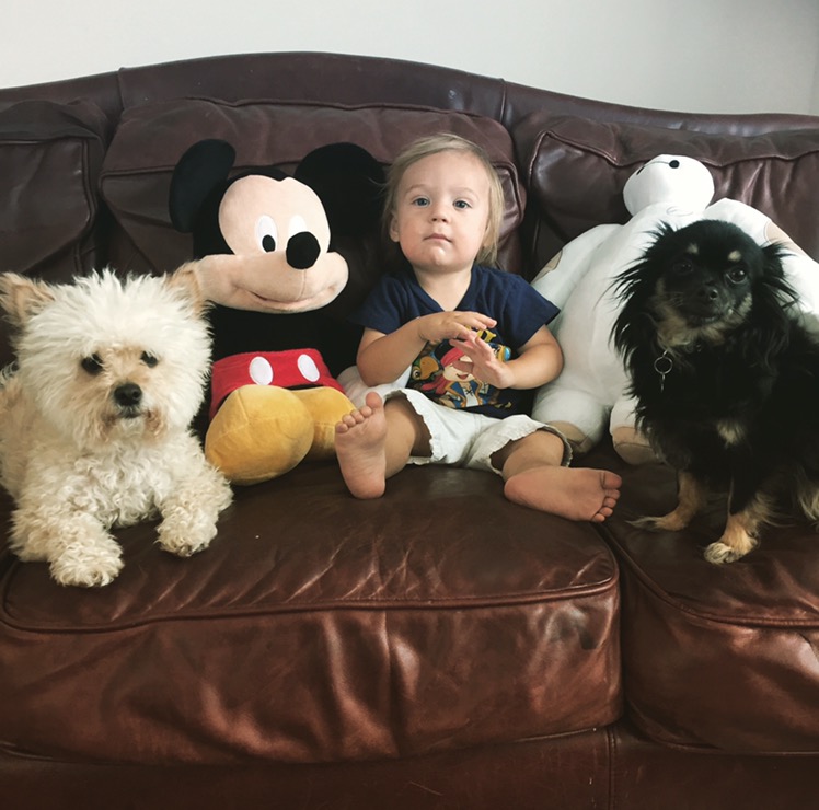 There's no reason why your baby and pets can't be friends.