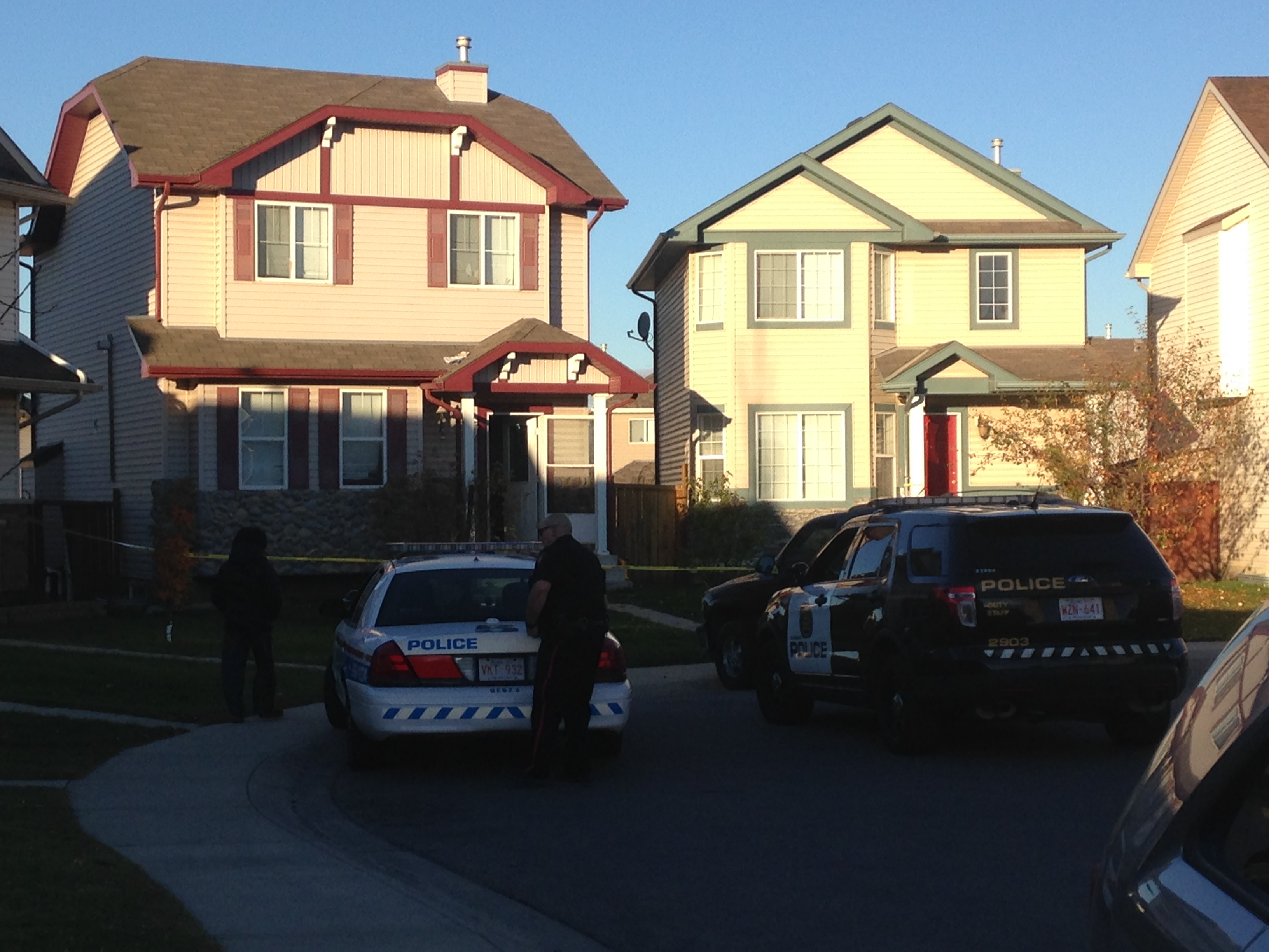 Woman in serious condition after northeast Calgary domestic assault ...