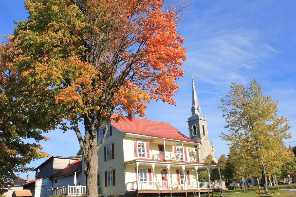 You still have time to go out and chase fall's colours, also known as "leaf peeping.".