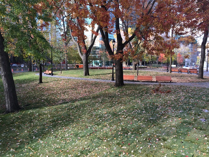 Place du Canada Park.