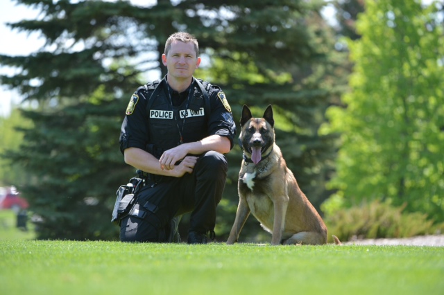 Riley the Winnipeg Police Service Dog passes away - image
