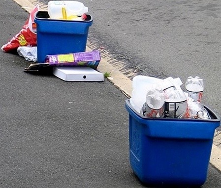 No quick fix to Vernon’s recycling bins - image
