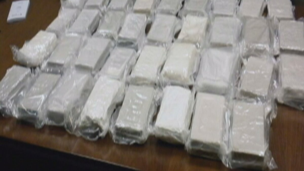 A file photo of cocaine bricks.