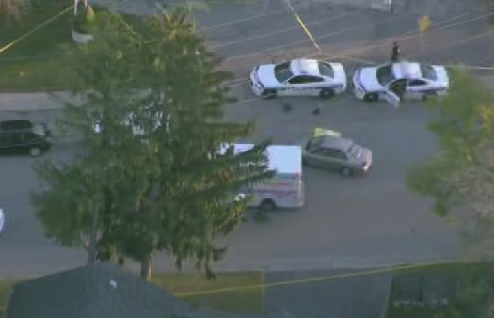 Female pedestrian killed after being pinned under car in Mississauga ...