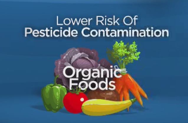 What is organic and is it worth it? - image