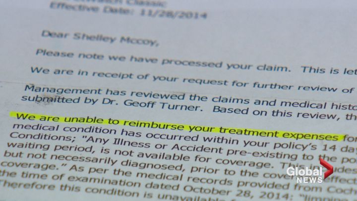 Persistence paid off for Calgary couple who fought pet insurance claim rejection - image