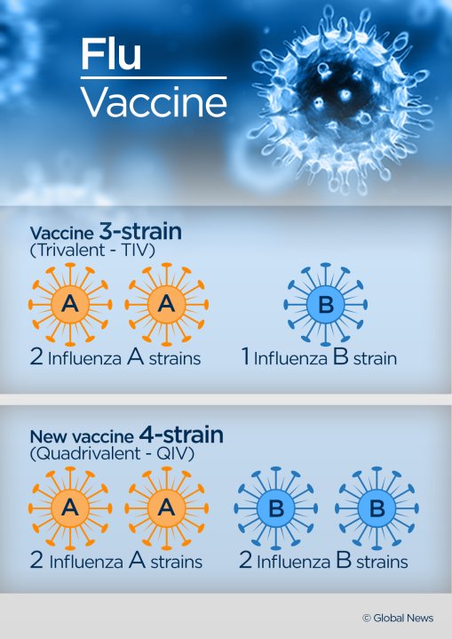 A first for flu season a new, more robust fourstrain vaccine
