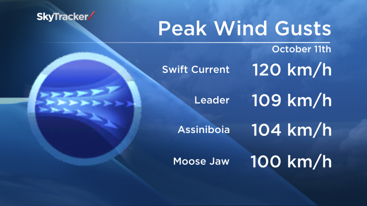 GALLERY: Sask. cleans up after strong winds Sunday - image