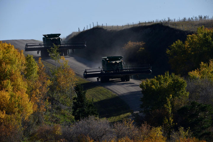 October 17: This Your Saskatchewan photo was taken by Barry Embree near Dinsmore.