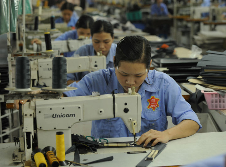 Employees of a leather factory work on a production line in Van Lam district, in Vietnam's northern province of Hung Yen on October 17, 2008. (File photo).