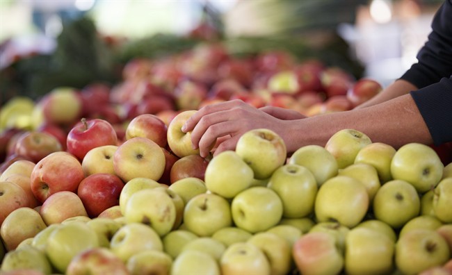 Quebec apple growers say crops may be smaller this year.