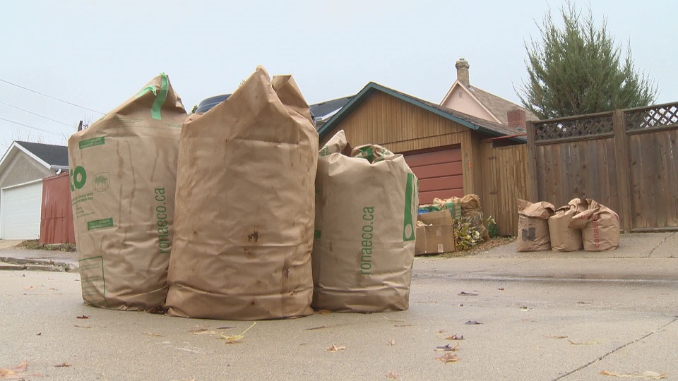 Winnipeg To Wrap Up Curbside Yard Waste Collection For The Year   Yard Waste 1 