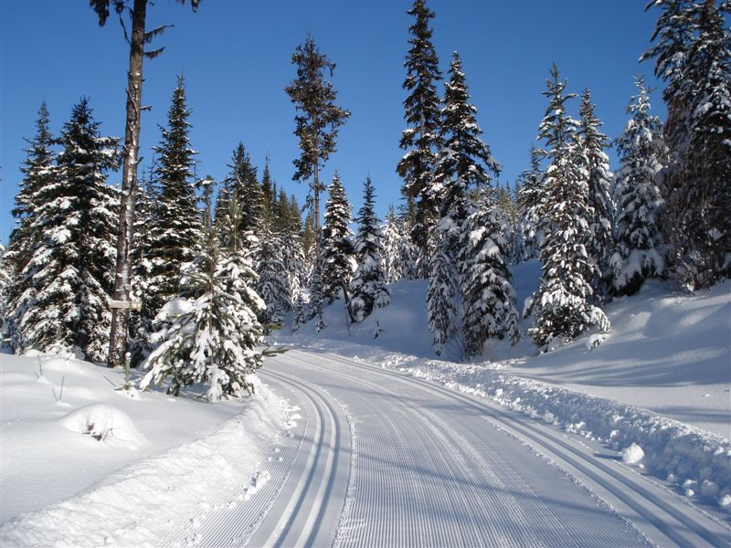 Lost cross country skiers call for help - image