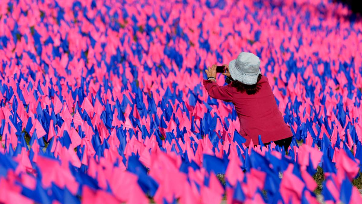 A tourist takes a photo of thousands of pink and blue flags in front of Parliament Hill as an anti-abortion group raises awareness Thursday October 2, 2014 in Ottawa. 