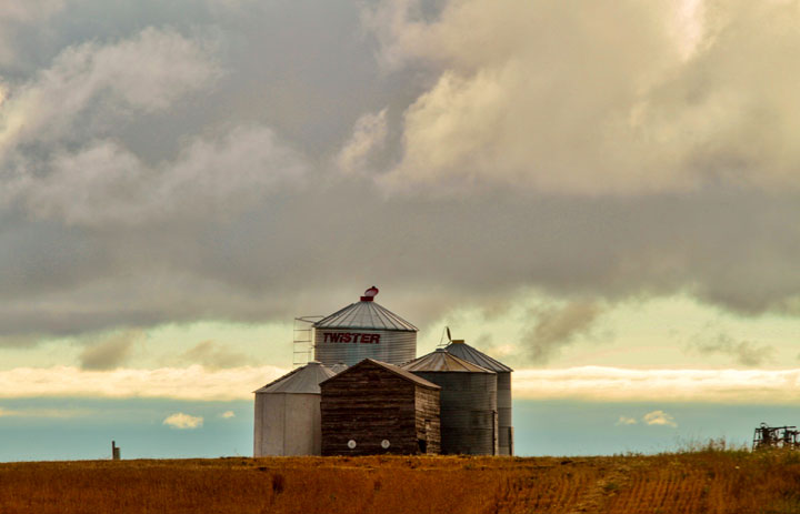 Nov. 4: This Your Saskatchewan photo was taken by Eroca Batty near Humboldt.