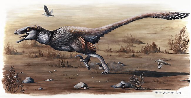 An artist's rendering of the Dakotaraptor.