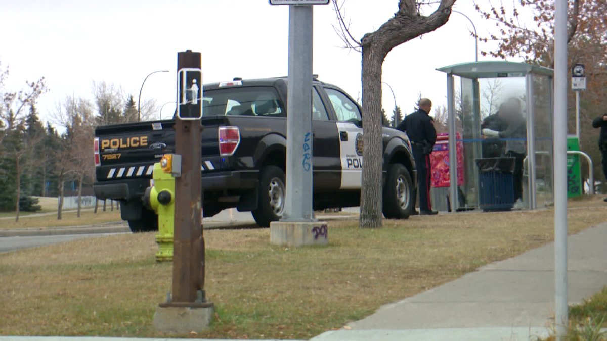 Calgary police arrest two suspects in an attempted carjacking.