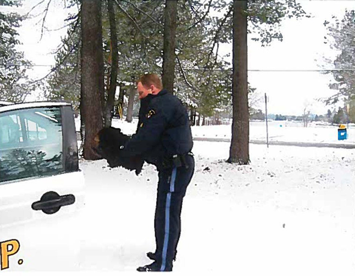 Police released this photo on Twitter of an OPP officer rescuing a bear in Petawawa, Ont. 