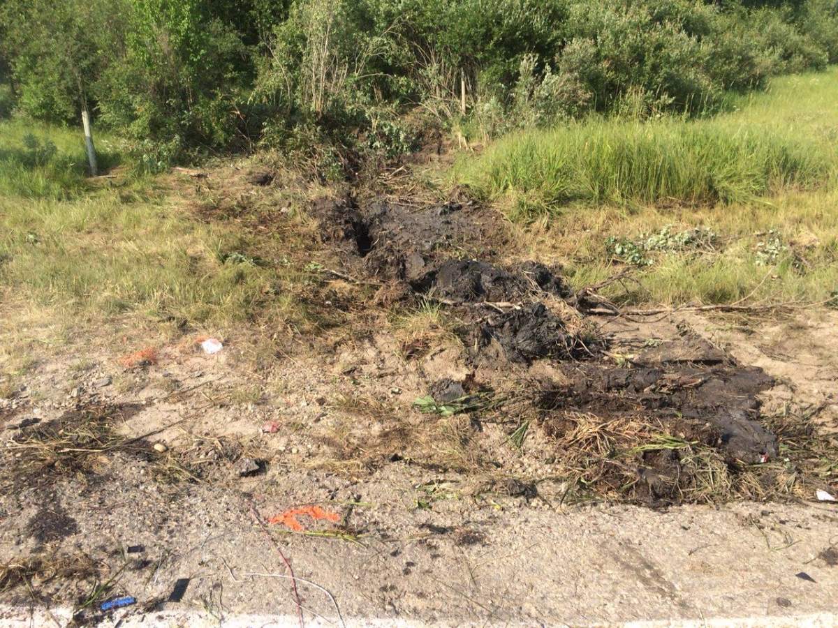 Two people were killed and six others injured during an early morning collision at the intersection of Highway 13 and Range Road 63, near Buck Lake, Alberta.