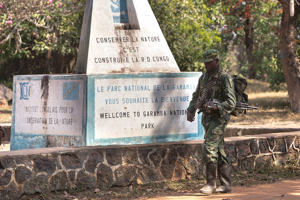 In this photo taken Dec. 29, 2014 and supplied by African Parks, an armed elite rapid response team member patrols at the entrance to the Garamba National Park. Cong.