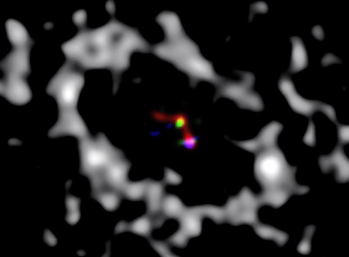 A composite image of the star and its planet forming. The grey material surround them is the accretion disk of dust and gases. 