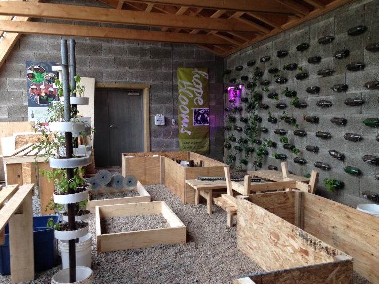 Hope Blooms opens solar-powered greenhouse - image