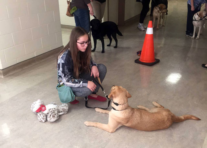 How a simple sniff by a diabetic service dog could save a life - image