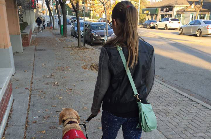 How a simple sniff by a diabetic service dog could save a life - image