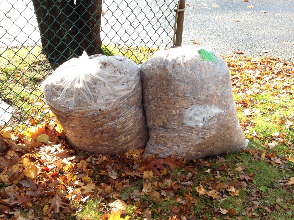 Exchange plastic bags for yard waste, leaves for paper ones