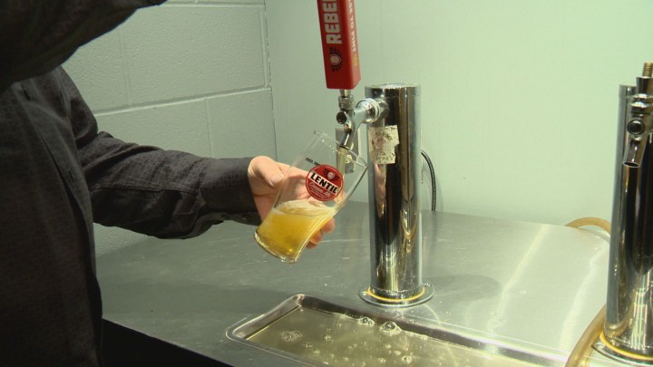 A Saskatchewan craft brewery is using lentils in a recipe for a four per cent light beer that uses local ingredients.