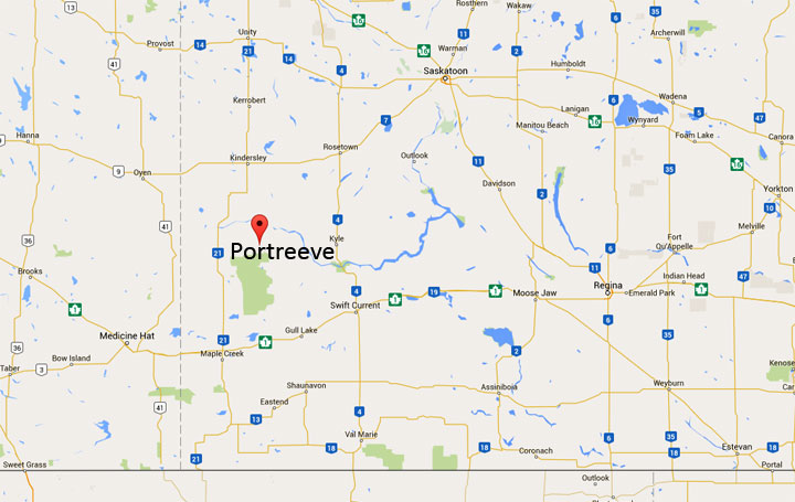 Saskatchewan RCMP say a vehicle struck a power pole near Portreeve, which caused an outage Friday.