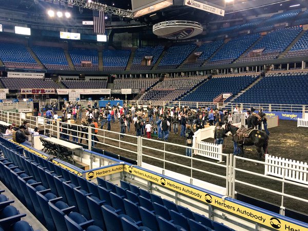 More than 150 students with special needs enjoy the annual Rodeo Magic event at the Canadian Finals Rodeo, Thursday, Nov. 12, 2015.