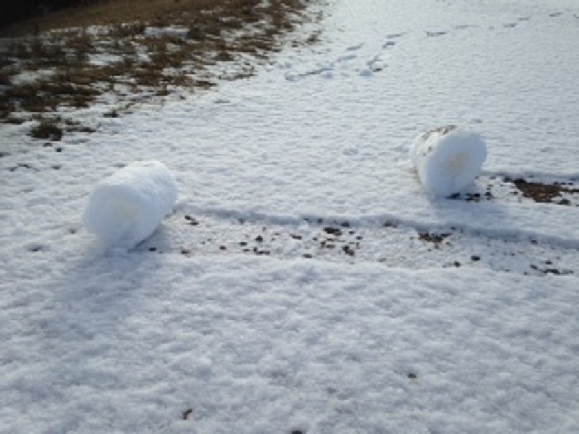 snow roller