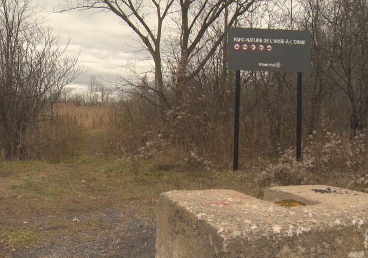 L'Anse-à-l'Orme Nature Park on Monday, November 2, 2015.